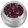 Glamour Mix Glitter Glitzer Silber Puder Violett Nailart