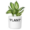 TwoDays Off-White Inspired Sneaker Planter, Hypebeast Room Decor, Small 5