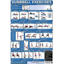 Productive Fitness CDLP Dumbbell Core44; Back44; Chest and Lower Body - Paper