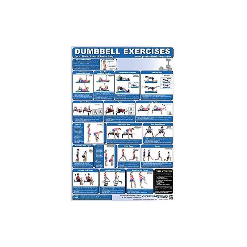 Productive Fitness CDLP Dumbbell Core44; Back44; Chest and Lower Body