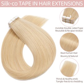 20 + 40 Pieces Real Hair Tape Extensions