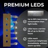 Lumetheus LEDs 5 mm Colour Green Extra Super Bright 16.000