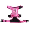 Cutesy Pet Adjustable Dog Harness | Pink Polka Dots (Medium)