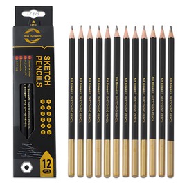 Crrynuo 12 Pcs Sketch Pencils, Profession Drawing for Artists, 12 Grades (14B to H) Set, Graphite Sketching, Premium Art Pencils for Drawing, Shading