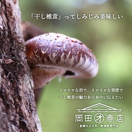 Asweets House Kumquats MIYAZAKI MISATO Sadaharu AOKI paris Jam, Conquat, 5.3 oz (150 g)