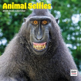 Dayplanner Publishing Animal Selfies Calendar 2025, Large Square Wall Calendar, 16 Month, Animal Selfies Gift Animal Calendar