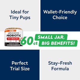 STRELLALAB Dog Probiotics for Gut Health & Digestive Enzymes Fiber Supplement - Anti Diarrhea, Constipation, Upset Stomach, Gas Relief - Digestion Treats Chews - 60 Count (Pack of 1) Beef