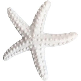 Junfamilee 1Pc White Resin Ocean Beach Starfish Natural Seashell Starfish Ornaments for Wedding Decor Beach Theme Party Home DIY Craft Fish Tank Holiday Decoration, Vase Filler, Home and Kitchen