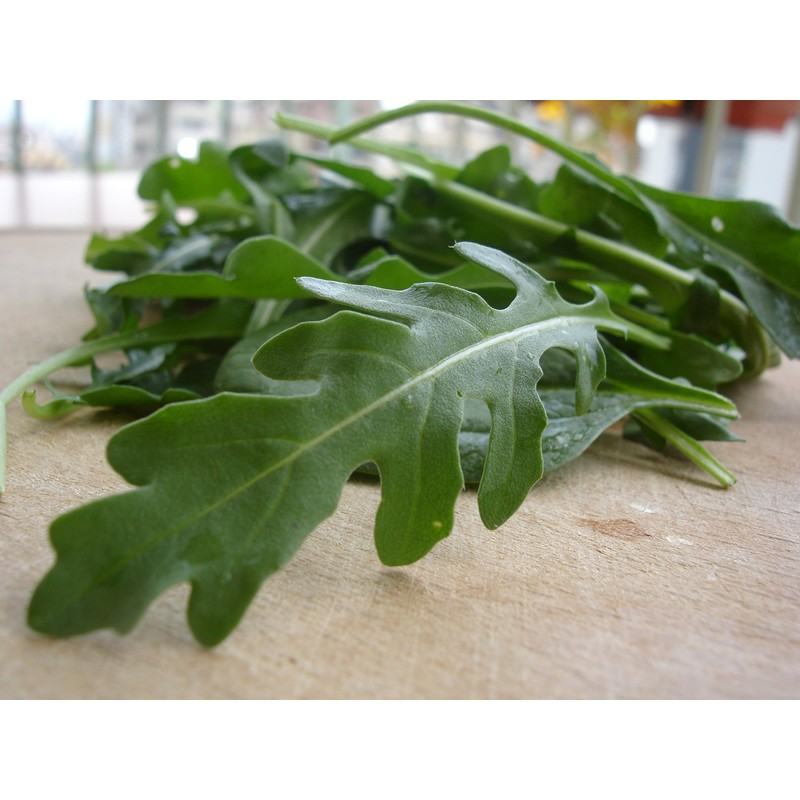 RAISE ME UP: Seeds Astro Arugula for Salad Non GMO