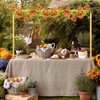 Over The Table Rod Stand with Clamps Adjustable 31"-110'' Length