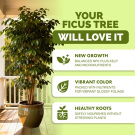 TPS NUTRIENTS Ficus Tree Fertilizer for All Ficus, Fig and Moraceae Plants, Liquid Plant Food 8 oz (250mL)