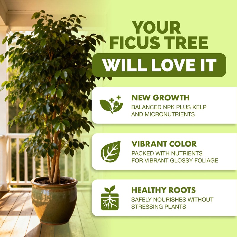 TPS NUTRIENTS Ficus Tree Fertilizer for All Ficus, Fig and