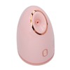 Facial Steamer with 100ml Water Tank Moisturizing Cleaning Pores Mist