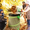 Colwelt Steel Leaf Scoops and Claws, Rugged Leaf Scoop for