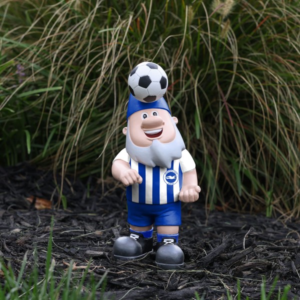 FOCO Official Brighton & Hove Albion FC Header Ball Football