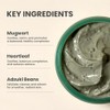 AXIS-Y - Mugwort Pore Clarifying Wash Off Pack - Mascarilla