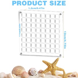 Acrylic Magnetic Seashell Display Box, 64 Grids Acrylic Seashell Display Box Clear Seashell Display Case, Display Box Organizer Box for Nail Art Seashell Jewelry Collection Commemorative Gifts