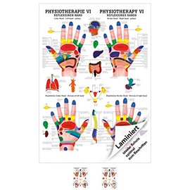 Sport-Tec Reflexzones Hand Mini Poster Anatomy 34 x 24 cm Medical Teaching Aid