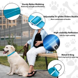 Seyezo Martingale Dog Collar, Slip Martingale Collar for Dogs with No Buckle, Reflective Pet Trainning Collar for Small Medium Large Dog, Adjustable Heavy Duty Nylon No Pull Slip Collar, S, Sky Blue