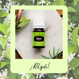 Young Living Aceite Esencial Kunzea Young Living 5ml