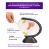 Discos Menstruales Desechables Renova-Her Rosa Morado Unitalla 14 piezas