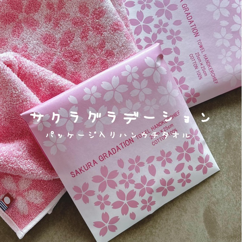 Imabari Handkerchief Towel with Package SAGURA Cherry Blossom Gradient, 9.8