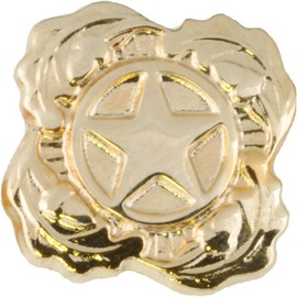 TheSupplyRoom Next of Kin Deceased Personnel (Guard/Reserve) Lapel Pin - Gold - Military Lapel Pin