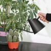 Watering Can with Long Spout 800ml Stainless Steel Matte Indoor