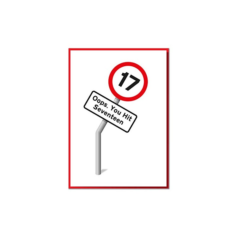 Oops. You Hit Seventeen. Funny Road sign 17th Birthday Card