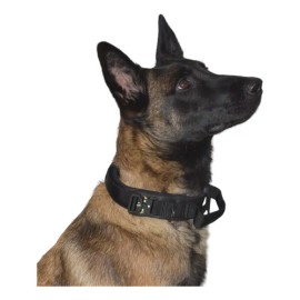 Collar Táctico Para Perro Con Parche De Datos Personalizado