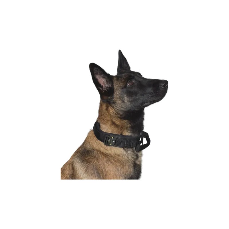 Collar Táctico Para Perro Con Parche De Datos Personalizado