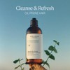 L'Occitane Shampoo Frescura y Aromacología 500ml