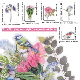 SOFPLATE 5 Set 200 Stück Blumenn PET Aufkleber Vogel Tagebuch Aufkleber Bunt Vintage Blumen Tier Pflanze Blatt Wasserdichte Etikettenblätter Für Wasserflaschen Laptop Sammelalben Tagebuch Handyhülle D