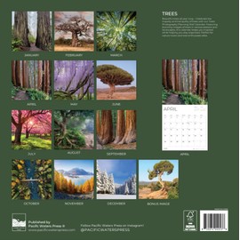 2026 Wall Calendar | 12" x 24" Open | Nature Photography Thick & Sturdy Paper for Organizing & Planning | Office Kitchen Decor or Gift | Pacific Waters Press (Trees)