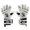 Rectrix 1.0 Goalkeeper Gloves (With Free Zip Case) - Negative