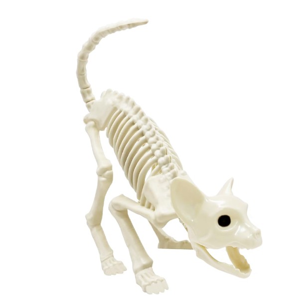 LUKBERA Cat Halloween Skeleton Decoration, Animal Skeleton with Posable Joints