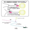 Arukazik Japan (アルカジックジャパン) Float 25019 Shallow Freak PUCHI F White