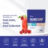 VivoNu VivoNu Calm & Sleep Powdered Drink Mix Raspberry L
