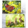 12 x British Wildlife Folding Greeting Cards with Envelopes. Blank