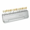 VITA Classical Shade Guide A1-D4 with 16 Natural Tooth Colors