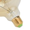 Edison Led Light Bulbs 4W 2200K Warm Light Transparent Energy