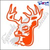 Eyecandy Decals Deer Head 16 6" Decal Sticker Orange