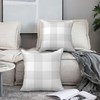 Mondiafy Pack of 2 Cozy Plush light Gray Throw Pillow