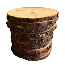 Set of (14) 10-11" Natural Wood Slices! Rustic Party Decorations, Rustic Wedding Decor, Wood Cookies (14)