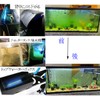 Aquarium Light, Amphibious, IP68 Waterproof, Removes Green Algae, Water Purification,