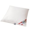 betten-traum-land Canada Extra Soft 100% Canadian Half White Down Pillow