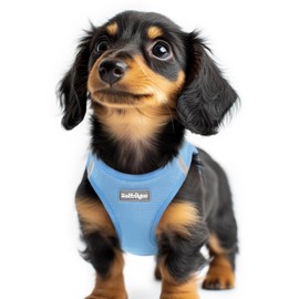 rabbitgoo Small Dog Harness, Step-in Soft Mesh Puppy Vest with Safety Buckle, Breathable Reflective Pet Harness for Extra Small Dogs, Blue XXS