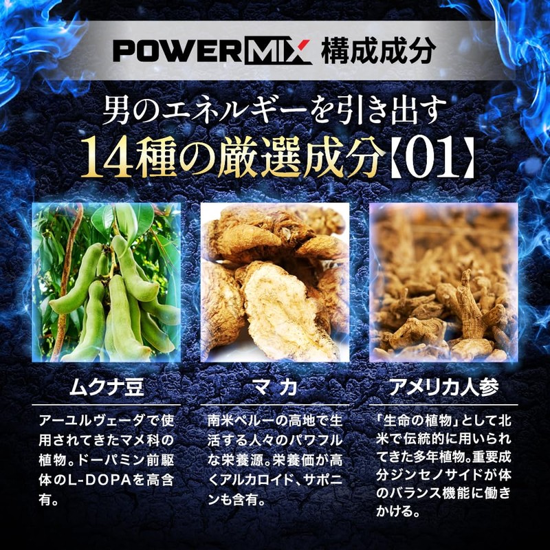 HALEO TEST(テスト) メンズパワーブースター テストフェン マカ ムクナ 冬虫夏草 エゾウコギ セレン 合計15種成分配合