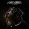 Upgraded AirTag Dog Collar, IP68 Waterproof Air Tag Dog Collar