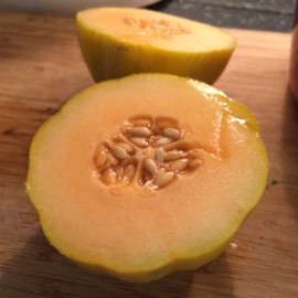 MySeeds.Co Minnesota Midget Melon (Cucumis melo) Vegeatable Seeds, Sweet and Flavorful - Trial Packet Size (2 Gram ~ 50 Seeds)